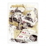 "Flechas de plata y mecánica, Mercedes W196 Reims 1954