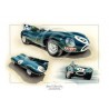 Vainqueurs du Mans en 1955 - Mike Hawthorn et Ivan Bueb - Jaguar Type D
