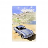 Cartolina grande Aston Martin DB5